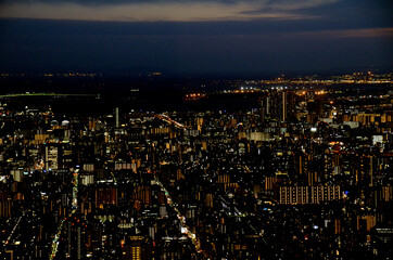 Fototapeta premium 夜の東京
