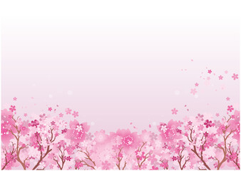 Obraz na płótnie Canvas 春　桜　和風 