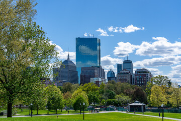 Spring lawns in Boston Common.  America's oldest park in May. Part of the Freedom Trail