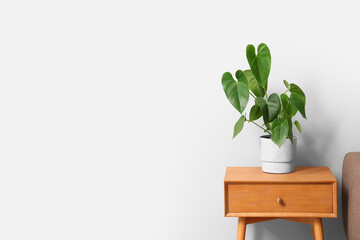 Small wooden table with houseplant near light wall