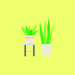 Indoor Plants Cartoon Flat Vector Illustration
