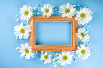 Floral summer background with daisies