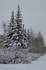 Urban landscape after a snowfall