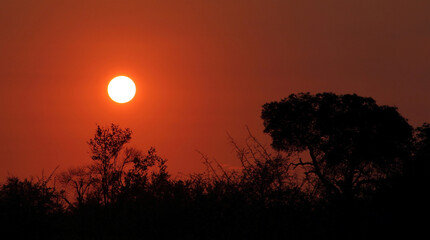 Sonnenuntergang Kr&uuml;ger Park S&uuml;dafrika / Sundown Kruger Park South Africa /