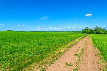 Spring photography, landscape, dirt road or path made from the earth's surface through which it passes