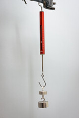 Weights hang from a dynamometer to measure force. Unit of force is in gram and is marked on the...