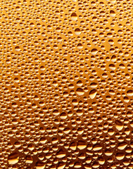 Drops of water on the glass of the window in the sun at dawn.