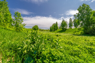 Fototapeta na wymiar Spring photography, landscape with a cloudy sky. water meadows, floodplains, ravines. an area of ​​low-lying ground adjacent to a river, formed mainly of river sediments and subject to flooding.