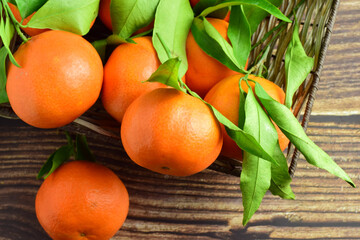 Zenith view, group of mandarins with their green leaves in a basket, on rustic boards.