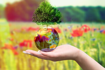 Planet Erde, Baum und der Naturschutz