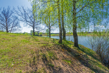 Fototapeta na wymiar Photos of the pond, source, birch forest. A lake is an area filled with water, localized in a basin surrounded by land, with the exception of any river or other outlet