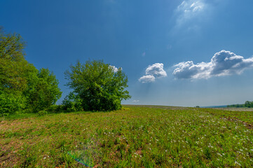 Spring photography, meadow fields, trees, hills and ravines, bright sun on a cloudy sky