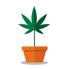 Marijuana leaf symbol, marijuana or hemp icon
