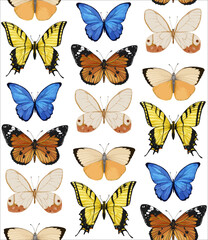 Seamless pattern with butterflies. Forest background. Hand-drawn illustration, vector