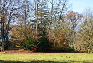 Herbst Landschaft im Park Breidings Garten in Soltau, Niedersachsen