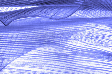 Naklejka na ściany i meble tissue, textile, cloth, fabric, web, texture, blue sapphire corrugation fabric, undulation ripple wave