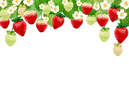 イチゴのショートケーキ 画像 参照 9 1 Stock 写真 ベクターおよびビデオ Adobe Stock