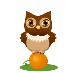 Fotobehang owl on tangerine  © Alexandr