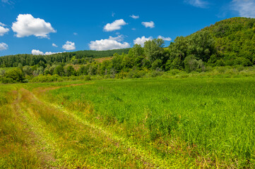 Fototapeta na wymiar Summer photo. floodplain meadows A meadow (or floodplain) is an area of ​​meadows or pastures on the banks of a river that is prone to seasonal flooding.