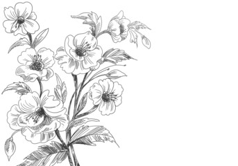 Artistic decorative sketch floral background