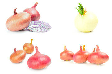 Set of Fresh bulbs of onion isolated on a white background cutout