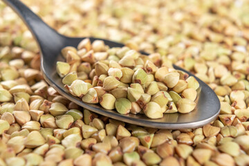 Grains of raw green buckwheat in spoon. Macro