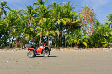 Quad bike on the beach against palm trees background © Katie Chizhevskaya