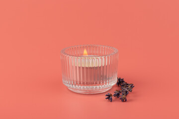 Candle in glass on pink background with lavender, product mock-up. Floral design element. Aromatherapy and herbal medicine concept