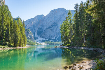 crystal clear water of the pragser wildsee in the dolomites mountains on a sunny day