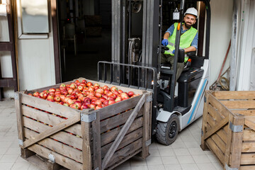 Cheerful man in helmet and uniform in forklift truck lifts up wooden container full of red ripe apples