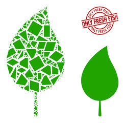 Simple geometric floral leaf mosaic and Only Fresh Fish grunge stamp imitation. Red stamp seal contains Only Fresh Fish caption inside circle and lines shape.