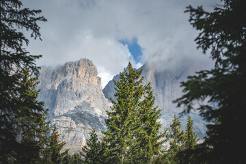 latemar mountain peaks seen from forest on a cloudy day in the dolomites