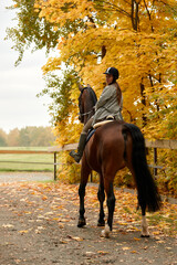 Beautiful brunette on a horse on the background of an autumn landscape. Horseback riding, active horseback riding