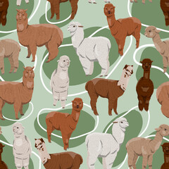 Seamless pattern with realistic alpacas Lama pacos in different colors. Vector animal background