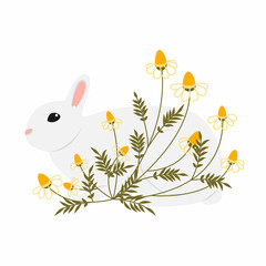 Fototapeta na wymiar Minimalistic gray rabbit in wild flowers daisies drawn in the style of doodle. Color vector hand drawn line art. Illustration for posters and postcards