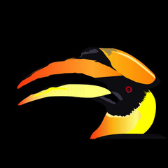 Colorful bird portrait