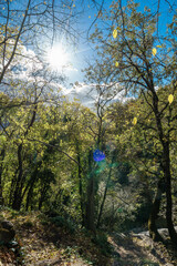 Garganta de nogaledas en Caceres