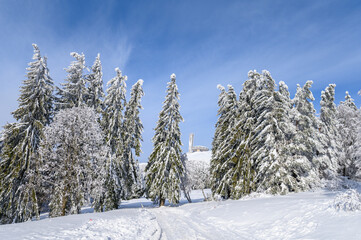 Cold winter in the mountain forest with snow covered fir trees. Splendid outdoor scene of Stara Planina mountain in Bulgaria. Beauty of nature concept background landscape
