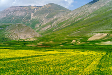 Obraz premium Piano Grande di Castelluccio, mountain and rural landscape