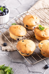 Freshly baked cupcakes with berries