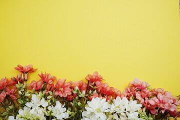 Flower border frame with space copy on yellow background