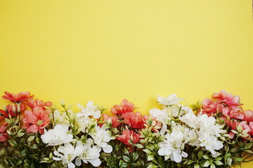 Flower border frame with space copy on yellow background