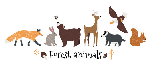 Hand drawn vector set with forest and woodland animals