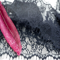 lace fabric. bird feather. lace color black on a white background. Texture, pattern. When it's time...