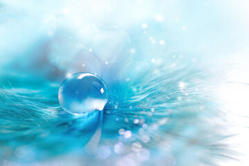 Beautiful drop of water on fluffy feather with sparkling bokeh on light blue blurred background,...
