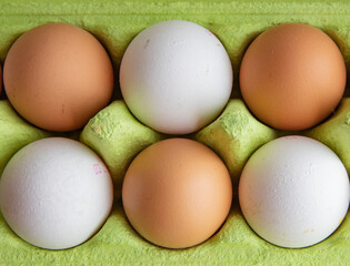Open egg box with White and Brown Fresh Organic Eggs Horizontal Images