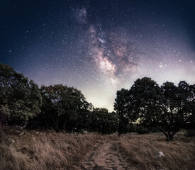 The Milky Way at night, a background of trees