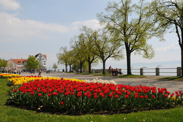 Plakat Friedrichshafen am Bodensee, Frühling an der Promenade