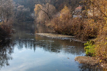 Aerial view of the river in the wild during the fall season. Trees with yellow leaves at sunset on a small winding river. Autumn in the wild on the background of the forest and the river