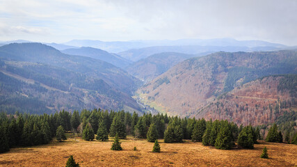 Fototapeta na wymiar autumn black forest panorama wide